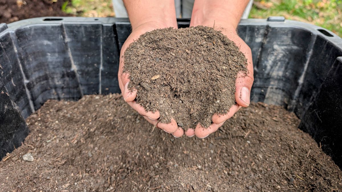 Hands holding rich compost